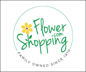Send flower arrangement with FlowerShipping.com